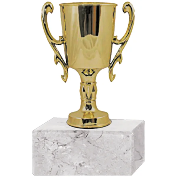 Trofeo Plástico Copa Chica 2