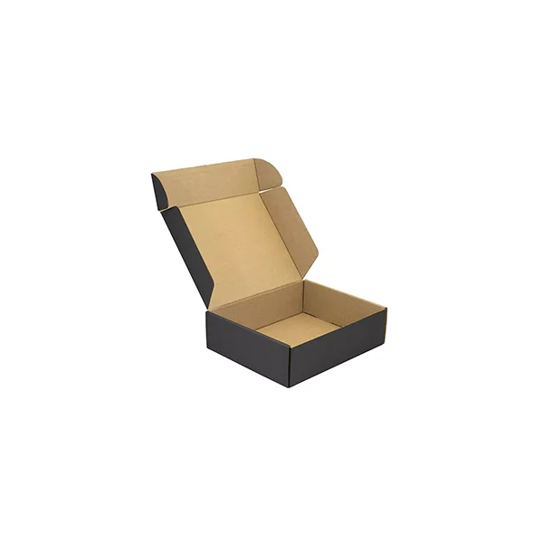 Caja Cartón Autoarmable Microcorrugado CC07